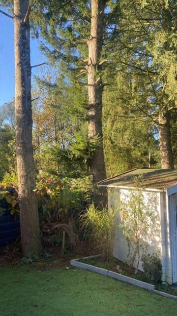 Boutique Chalet Veluwe พุทเทิน ภายนอก รูปภาพ